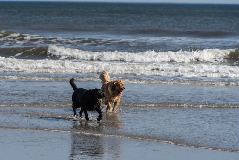Beach Access Changes After Labor Day