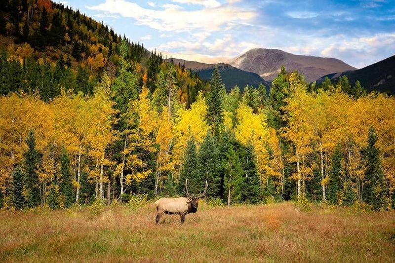 Stunning Autumn Backdrop Enhances The Experience