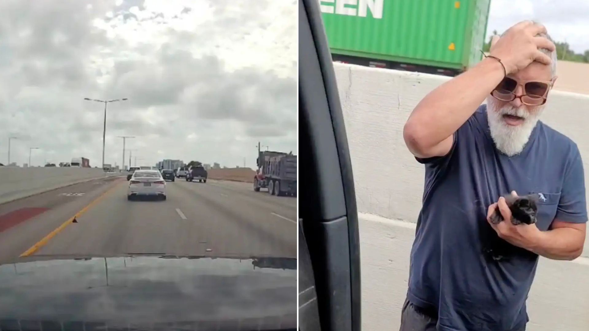 Florida Driver Stunned When Tiny Black Speck On Highway Turns Out To Be Fighting For Its Life
