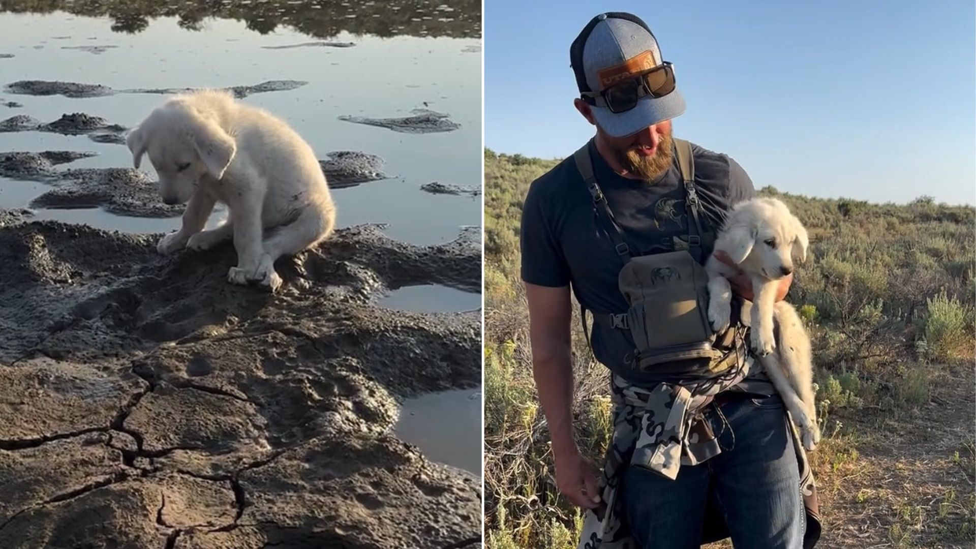 Florida Hiker Finds A Starving Puppy On Trail, Then His Wife Makes A Life-Changing Decision