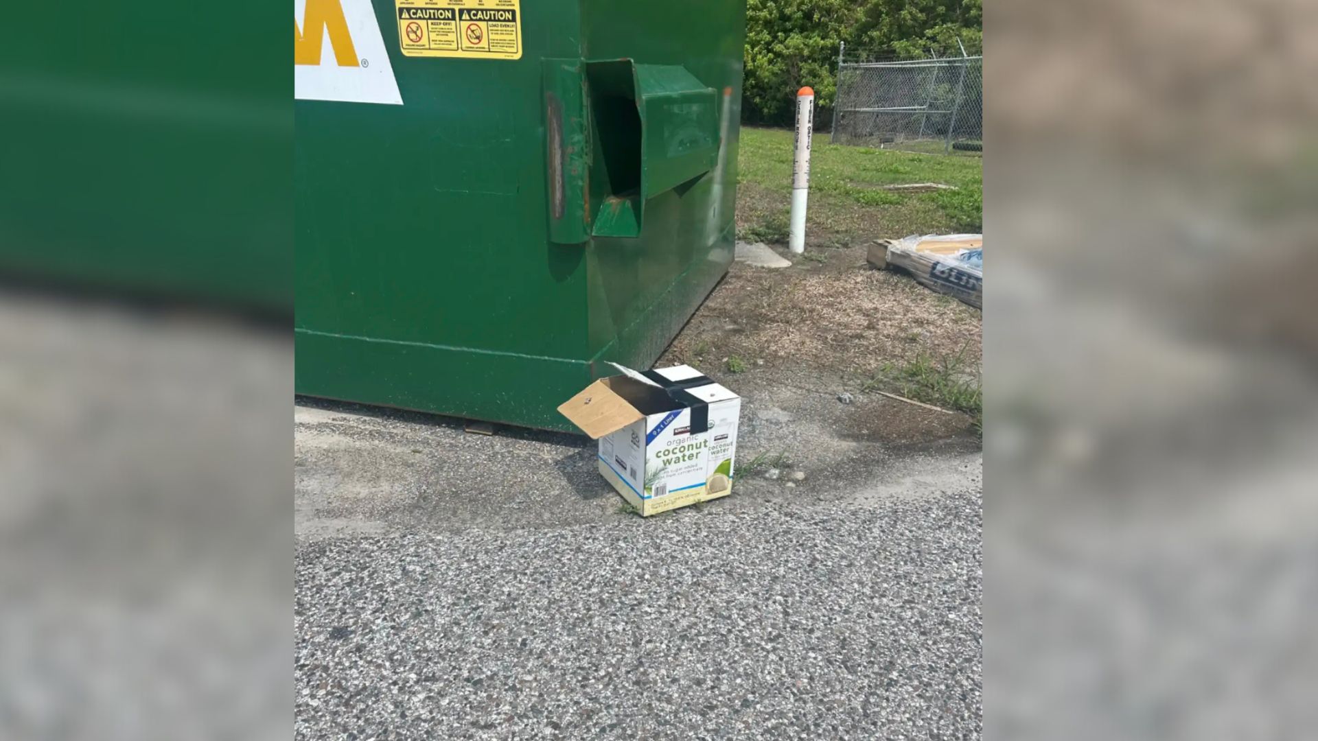 Florida Rescuers Were Stunned After Discovering Furry Babies In A Small Box Next To A Parking Lot