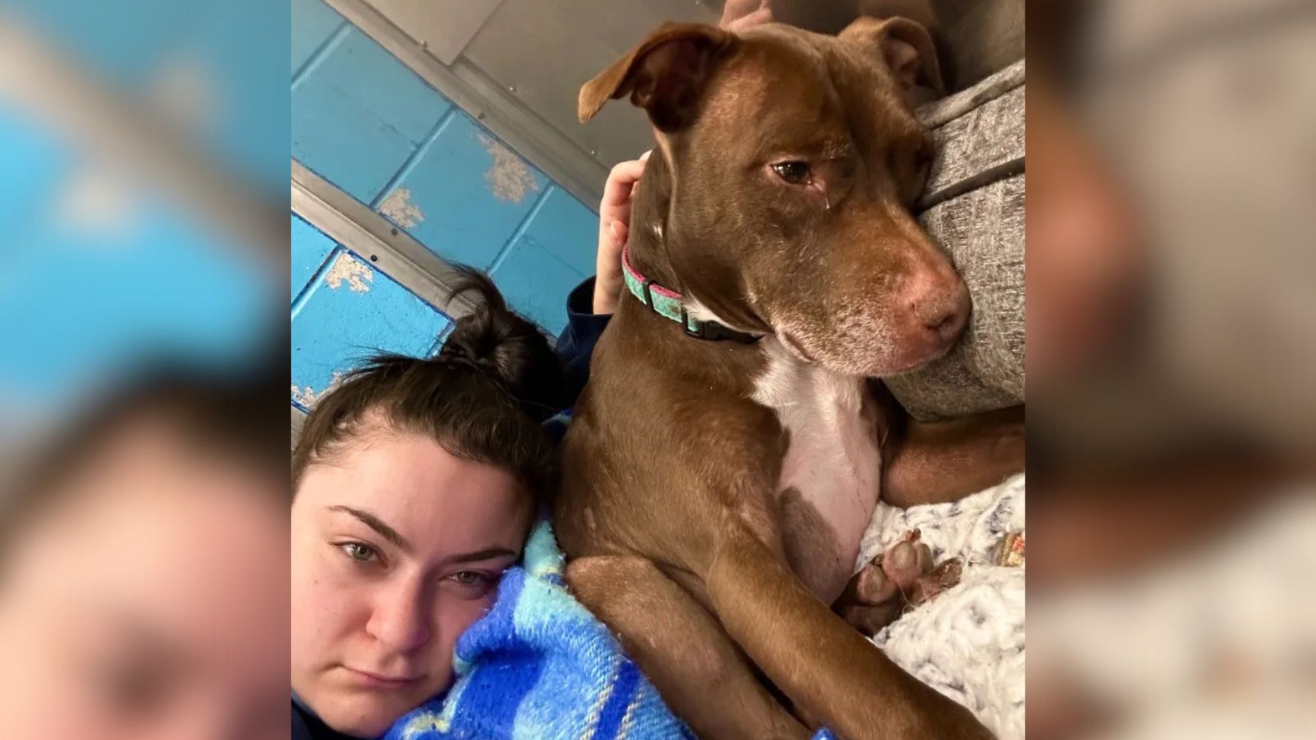 shelter worker with sad dog