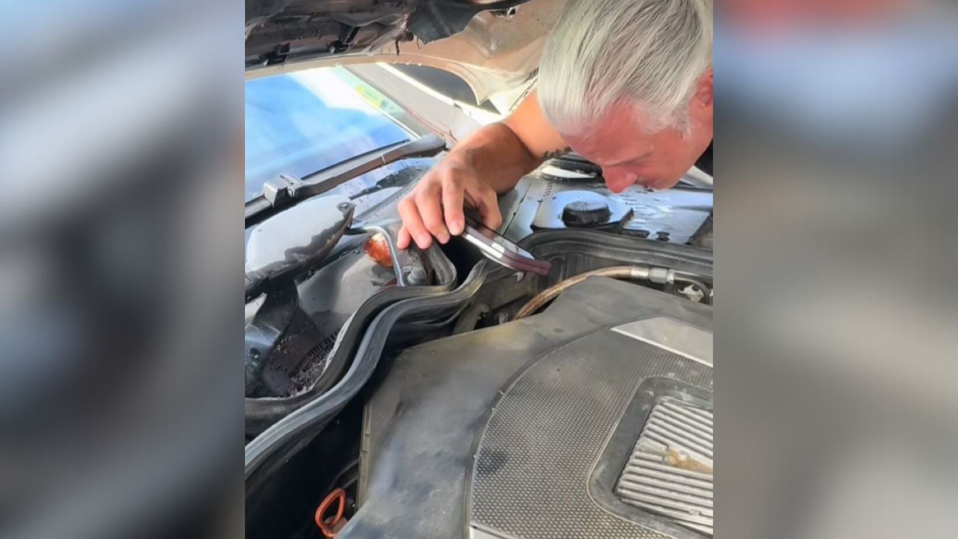 Georgia Mechanic Thought It Was Just Another Job Until He Heard A Cry From The Engine