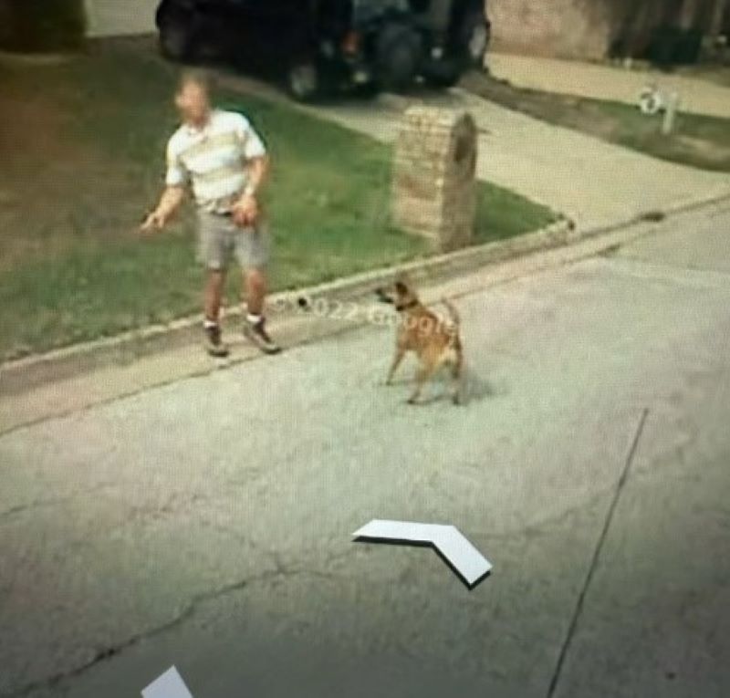 Google Earth picture