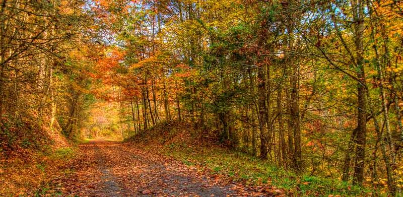 Virginia Creeper Trail: Rail Trail Brilliance