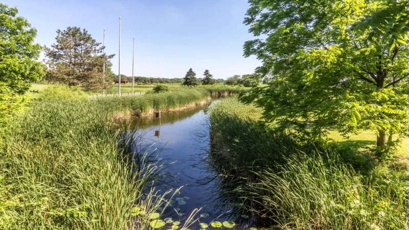 Hawk Hollow Off-Leash Area: DuPage County's Natural Escape