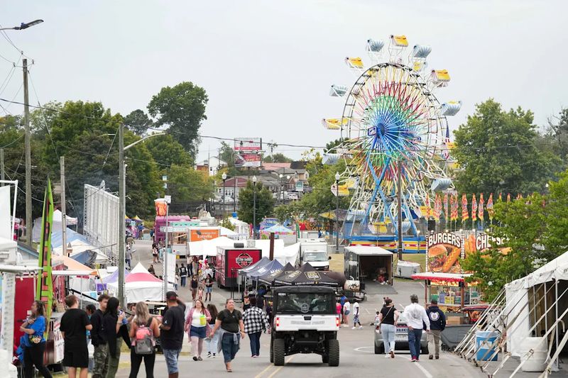 Outdoor Festivals Trigger Runaway Incidents
