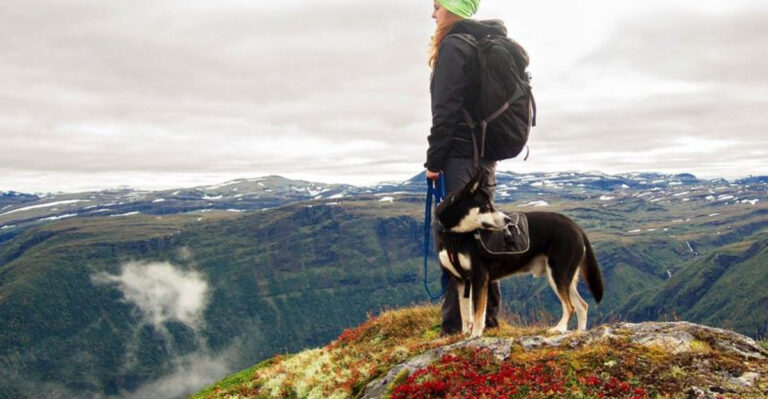 How Colorado’s Fall Temperatures Affect Active Dogs On Hikes