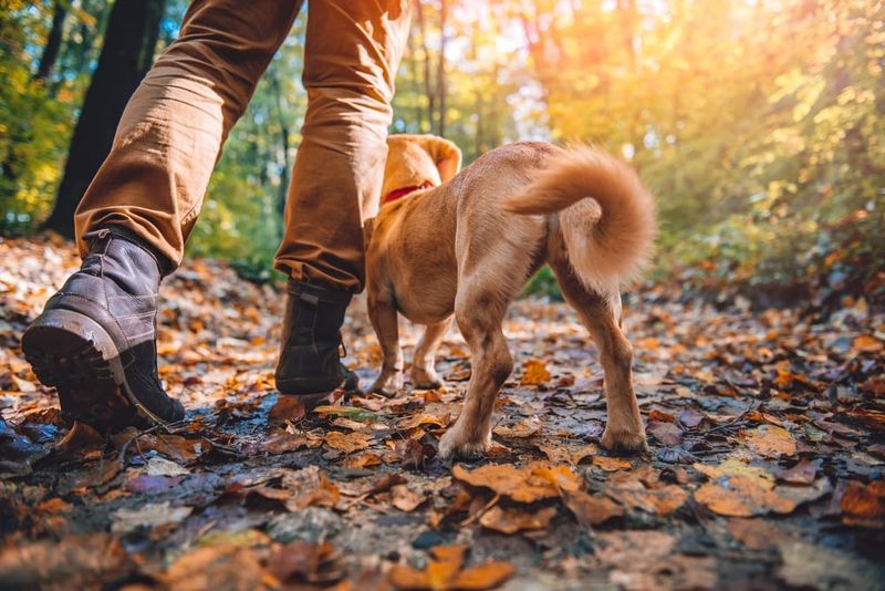 Crisp, Comfortable Temps For Longer Outings