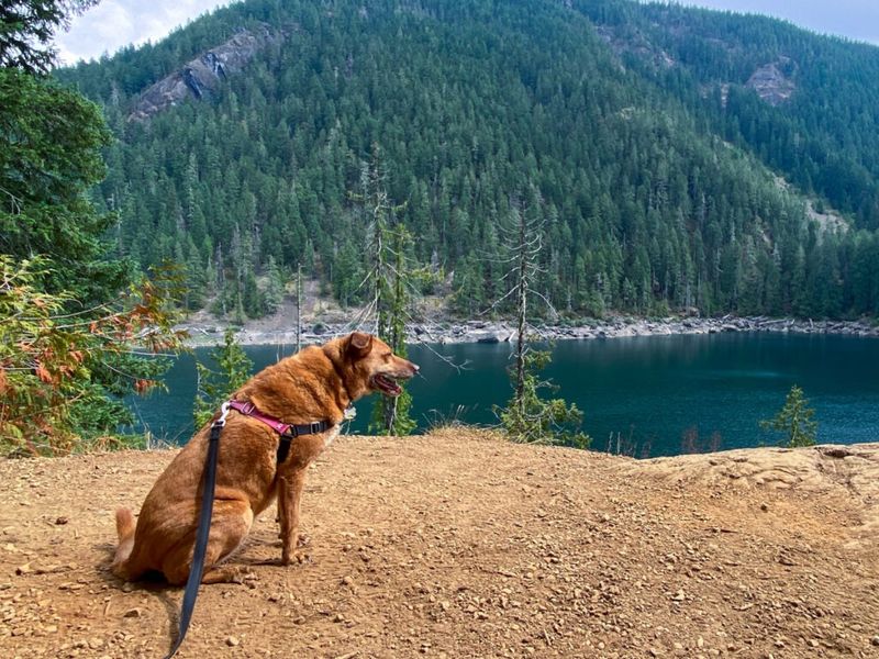 Dosewallips State Park