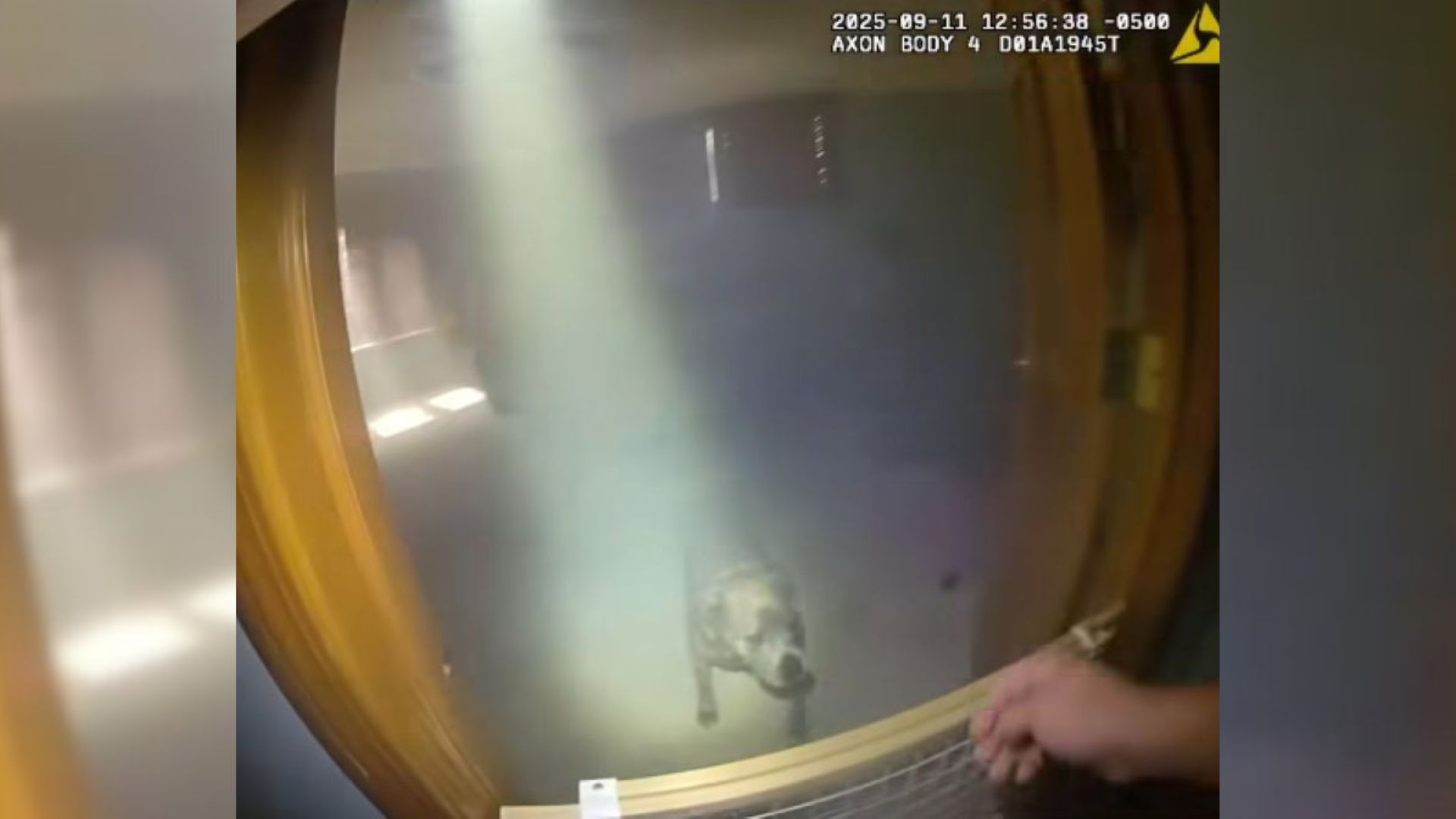 Illinois Police Break Into Burning Home And Are Completely Surprised By What The Family Dog Did Next