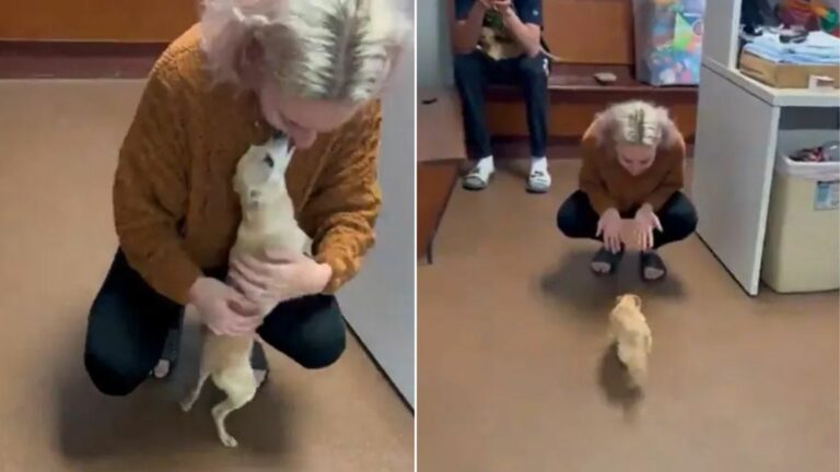 woman with a small dog