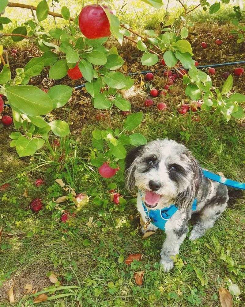 Uncle John's Cider Mill
