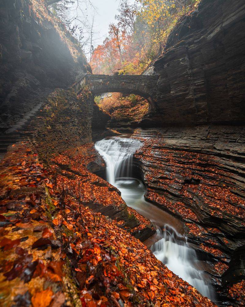 Watkins Glen State Park