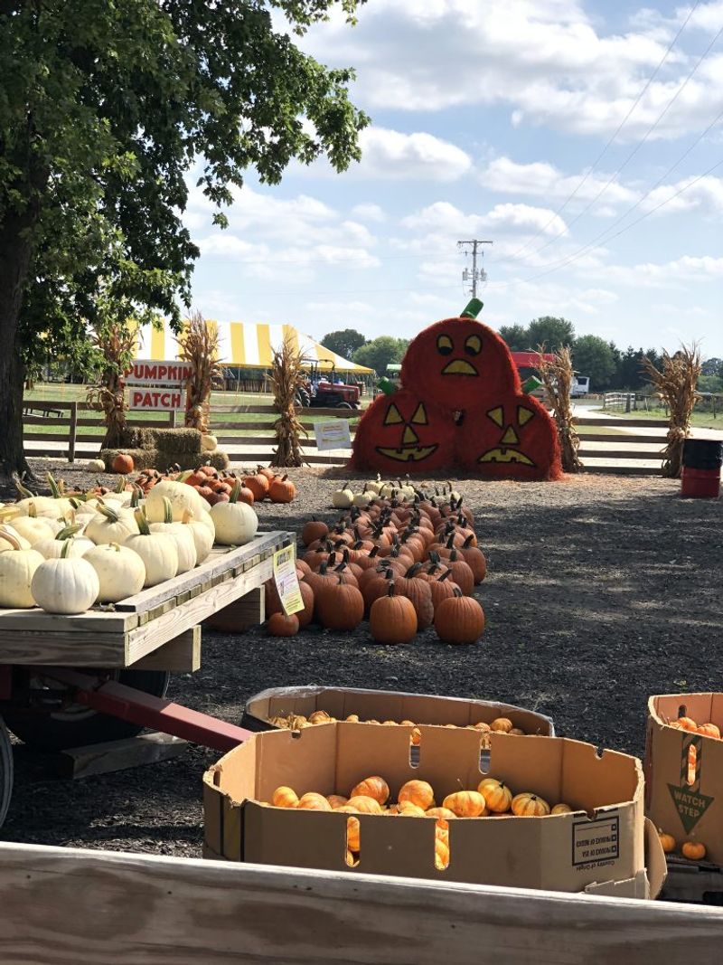 Young's Jersey Dairy — Yellow Springs