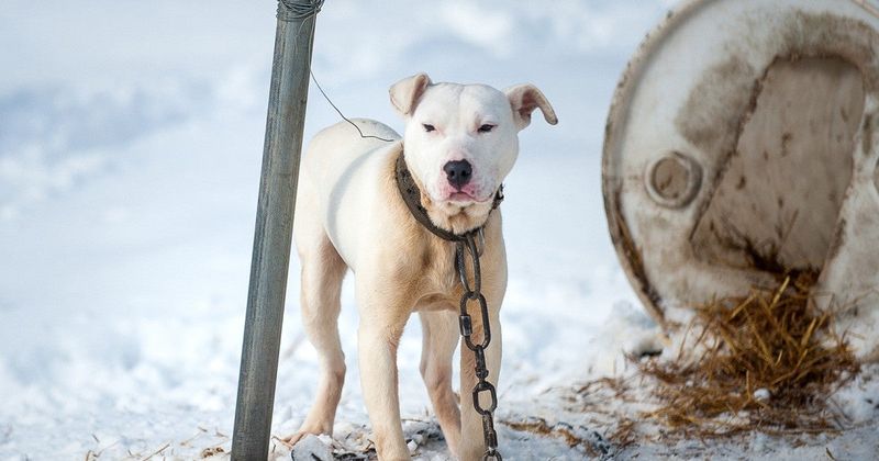 Weather-Related Tethering Restrictions