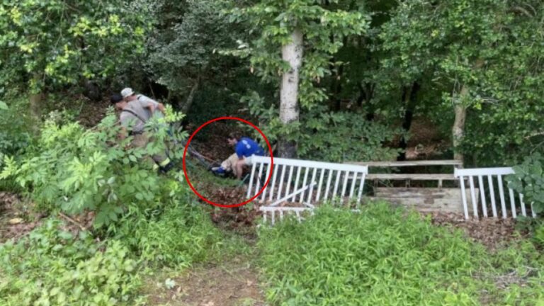 people rescuing a dog from the woods