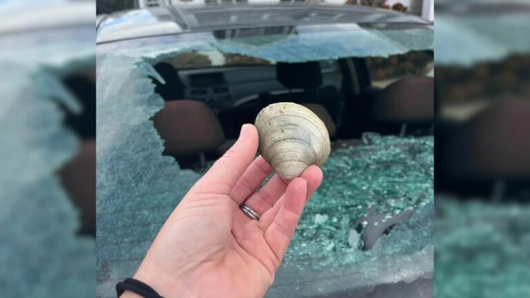 broken windshield