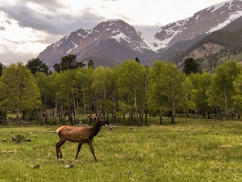 Front Range Accessibility For Easy Day Trips