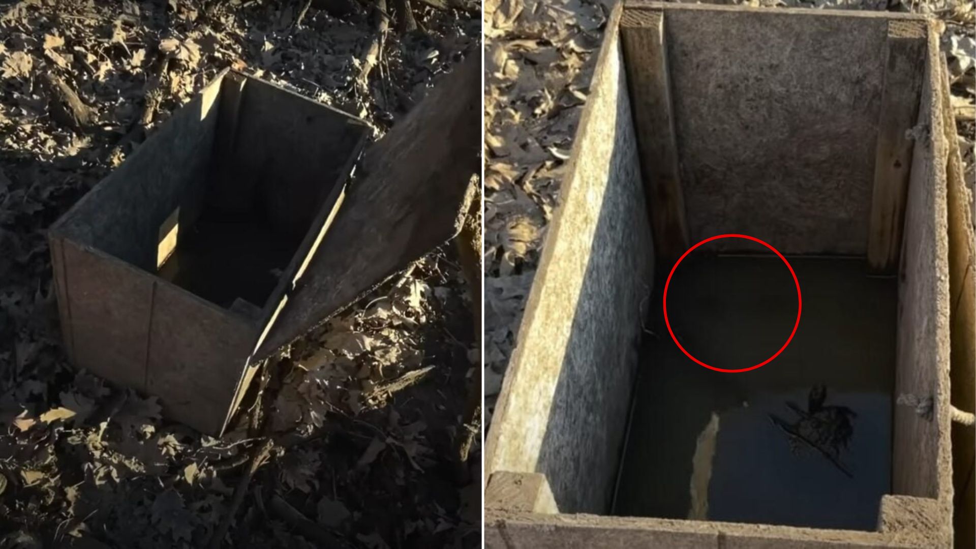 Missouri Kayakers Discover Mysterious Box In Mud And It Changes Their Entire Trip