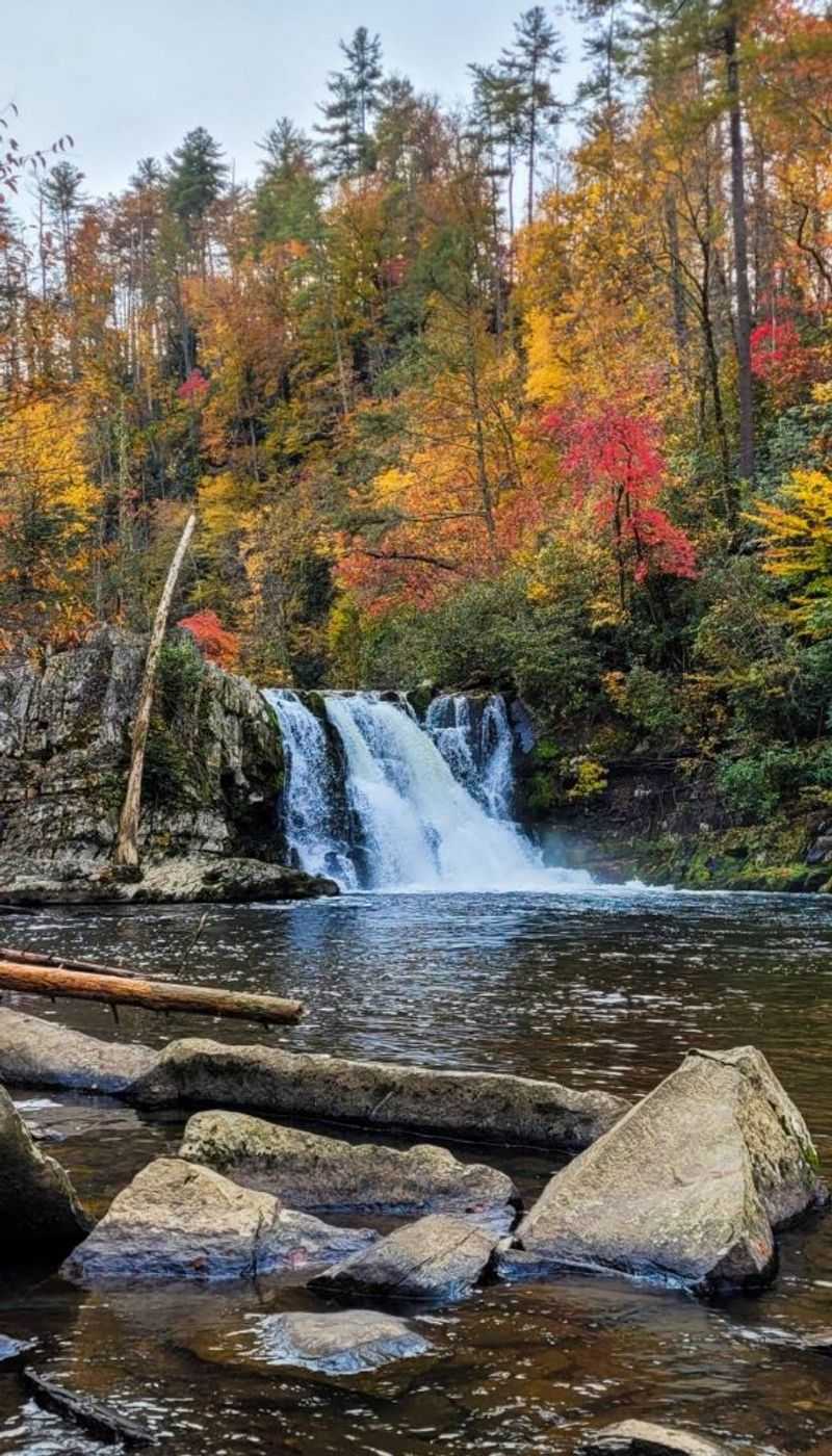 Cool Creeks And Waterfalls For Quick Pup Cooldowns