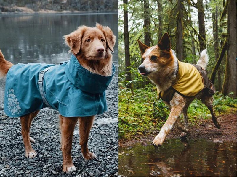 Rain Gear and Drying Routines