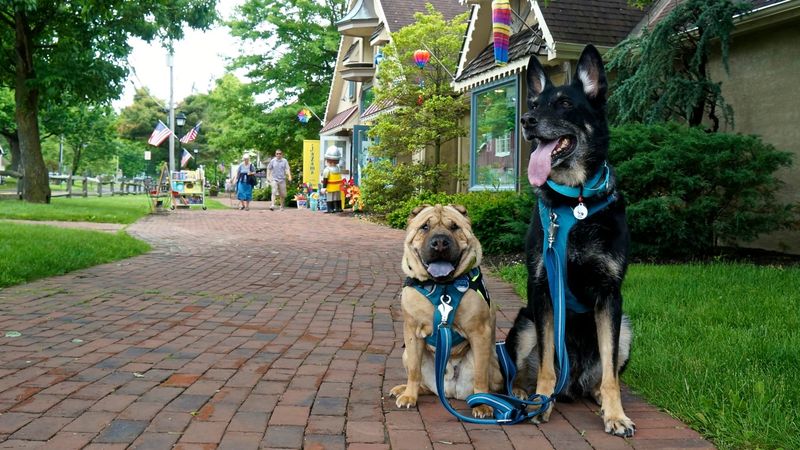 Peddler's Village