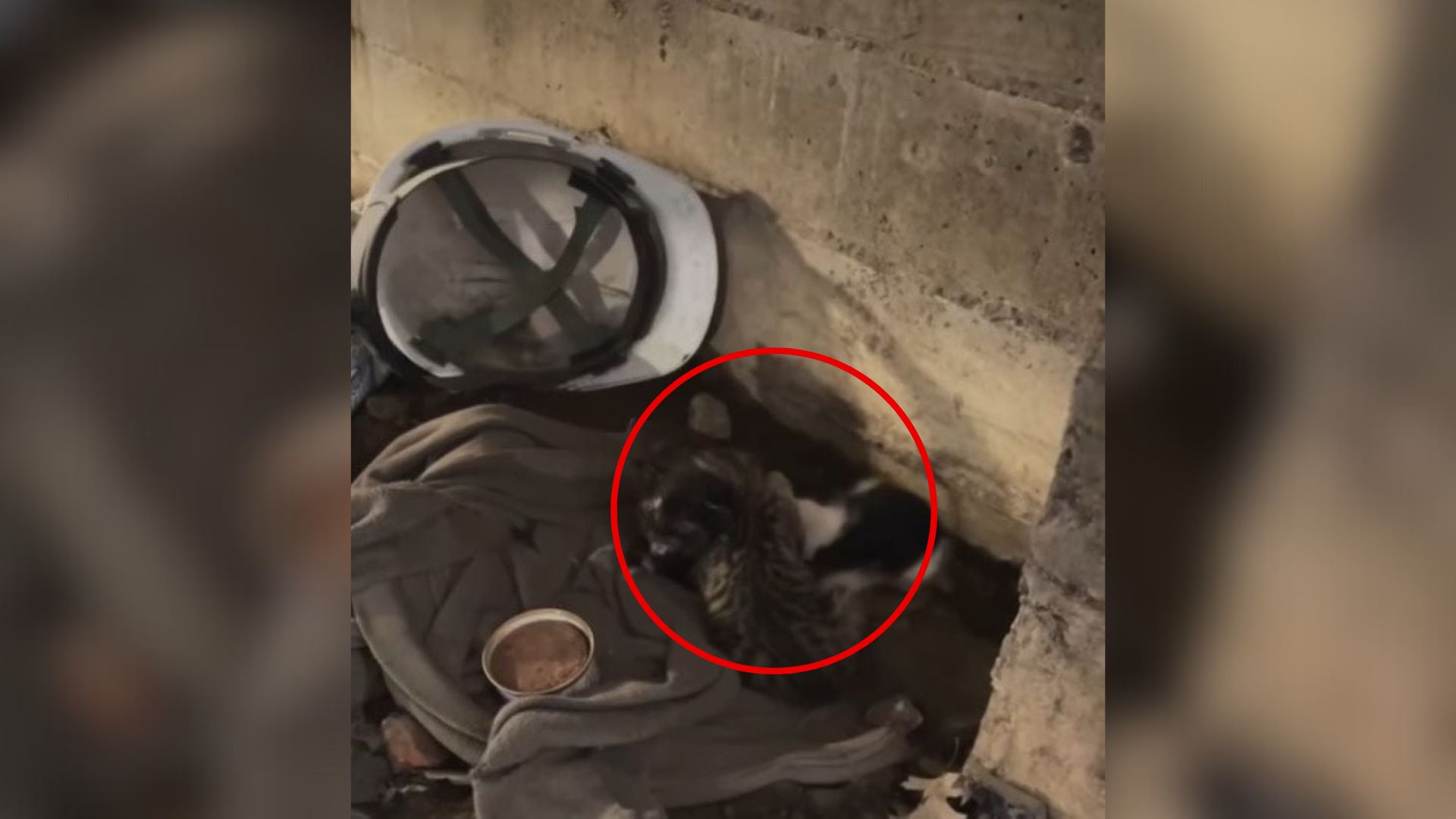 New York Construction Worker Walks Into A Building And Uncovers A Heartbreaking Scene