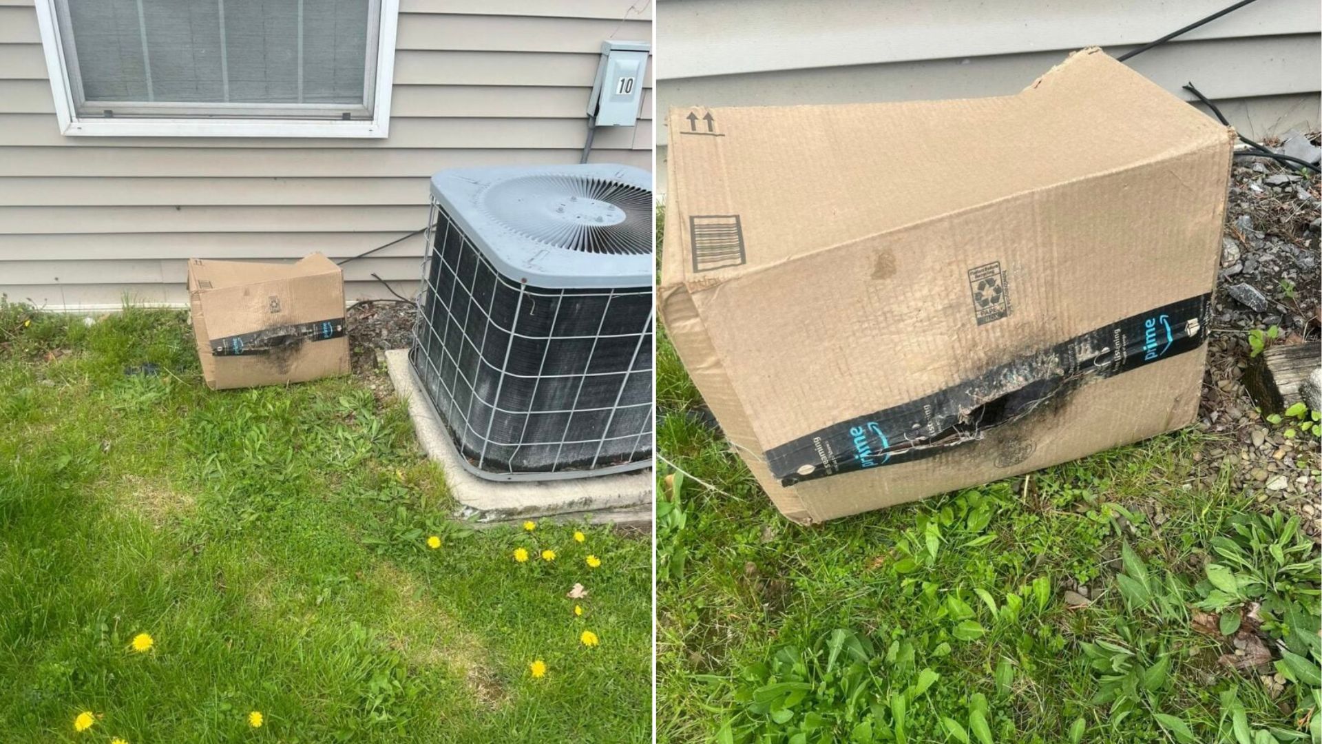 New York Rescuers Investigate A Box On The Ground And Find A Heartbreaking Surprise