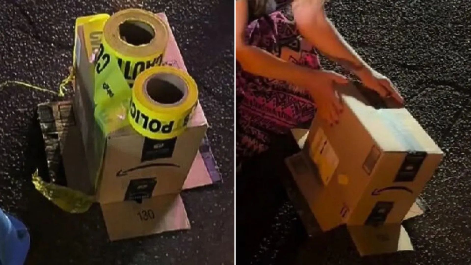 New York Rescuers Were Called For A Duckling But Found Something Rare Instead