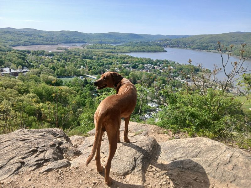 Hudson Highlands State Park Preserve