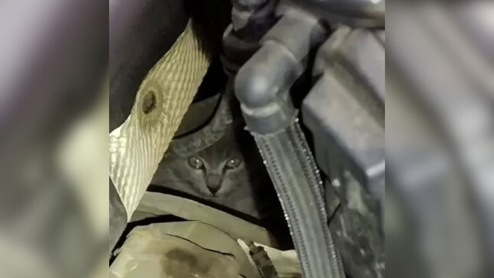 little car inside the car engine