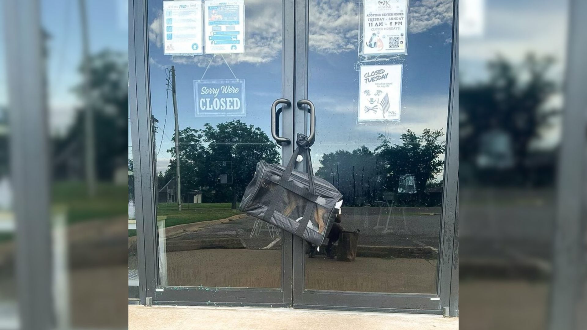 Oklahoma Dog Is Left In A Bag On Shelter Door, Her Story Sheds Light On The Rising Abandonment Crisis