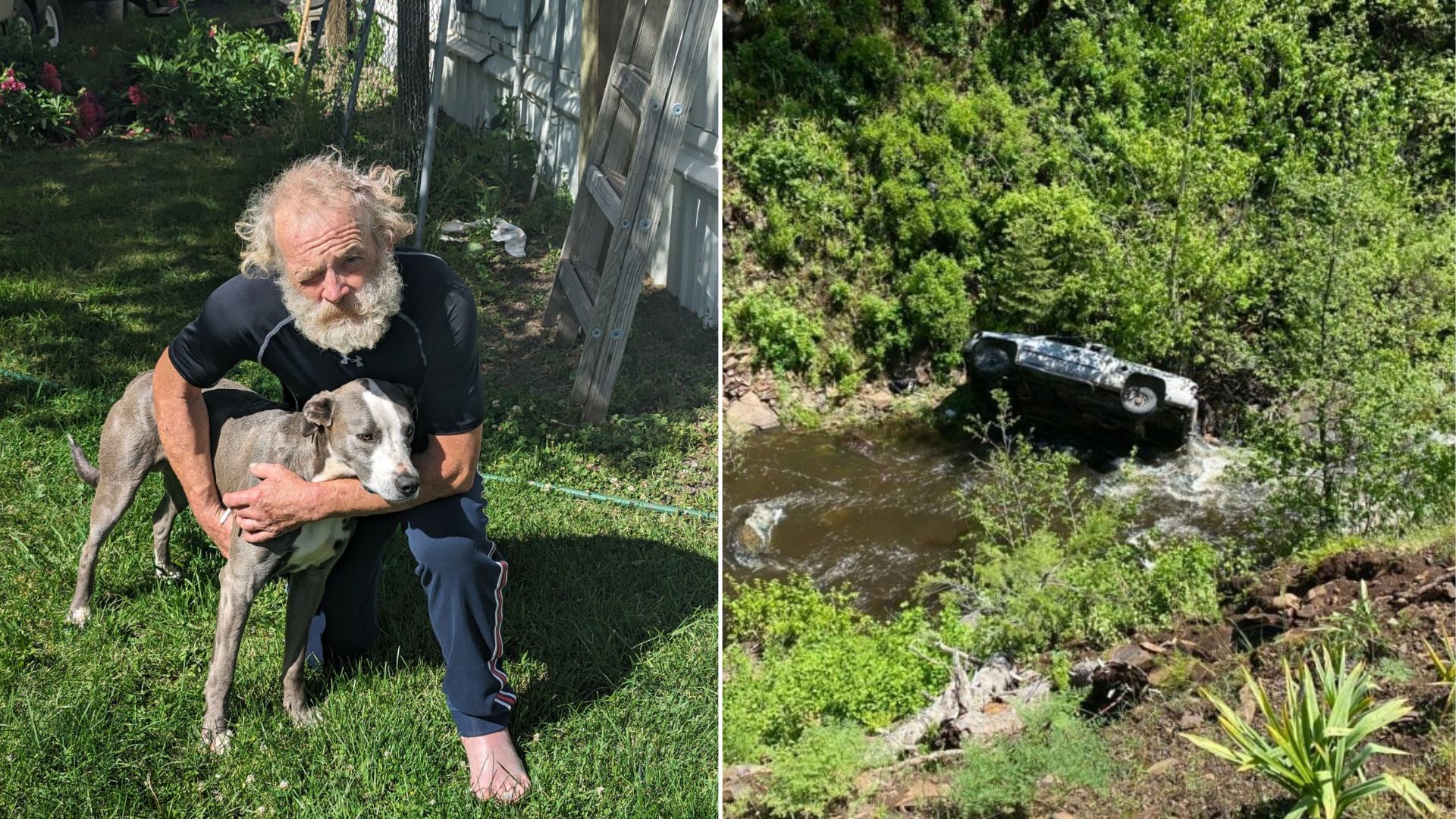 dog alerts rescuers after a car accident