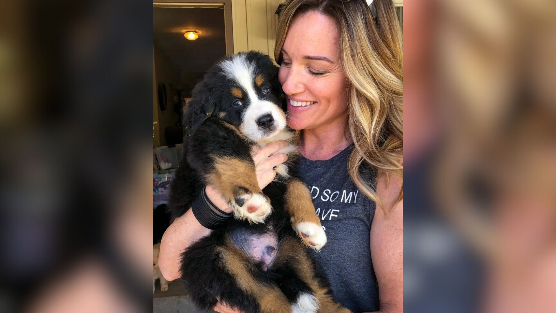 Oregon’s Clingiest Bernese Mountain Dog Figures Out How To Always Catch Mom’s Eye