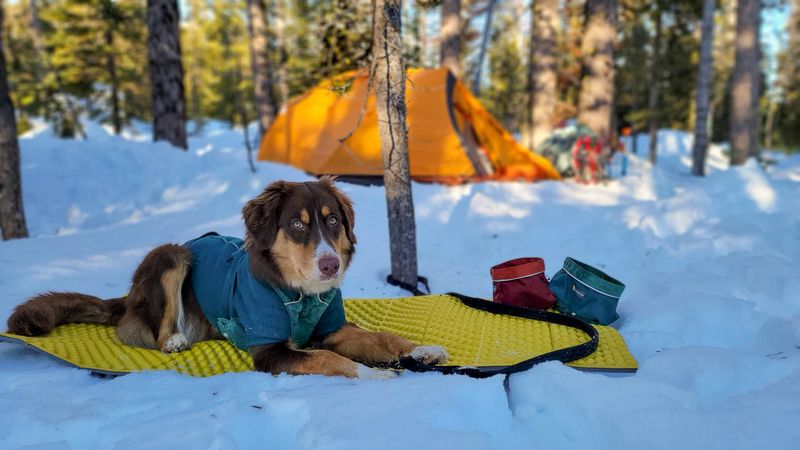 Early Snow/Crust Increases Exertion