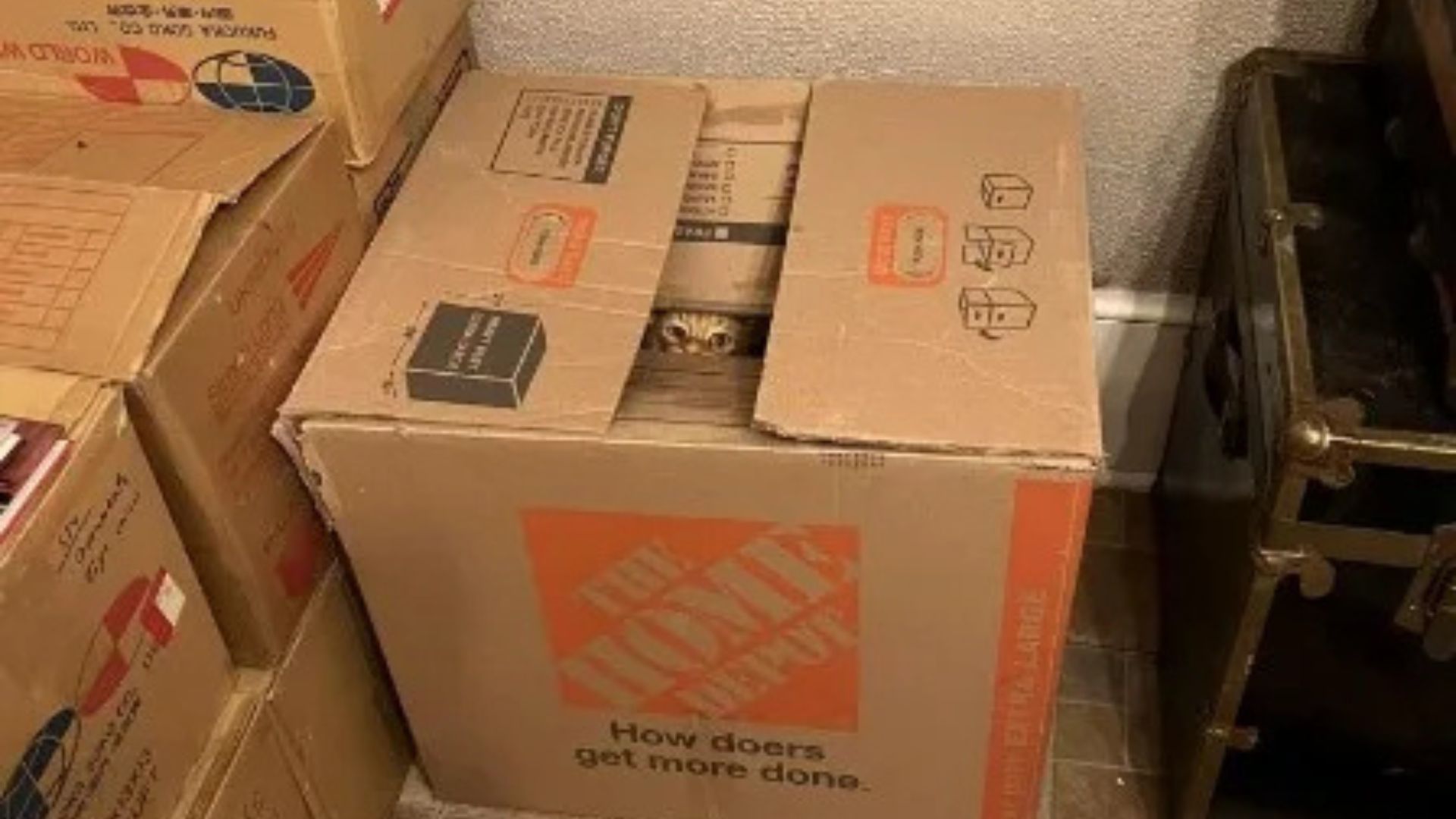 Pennsylvania Woman Buys A New Home And Finds Out That A Special Someone Is Already Living There