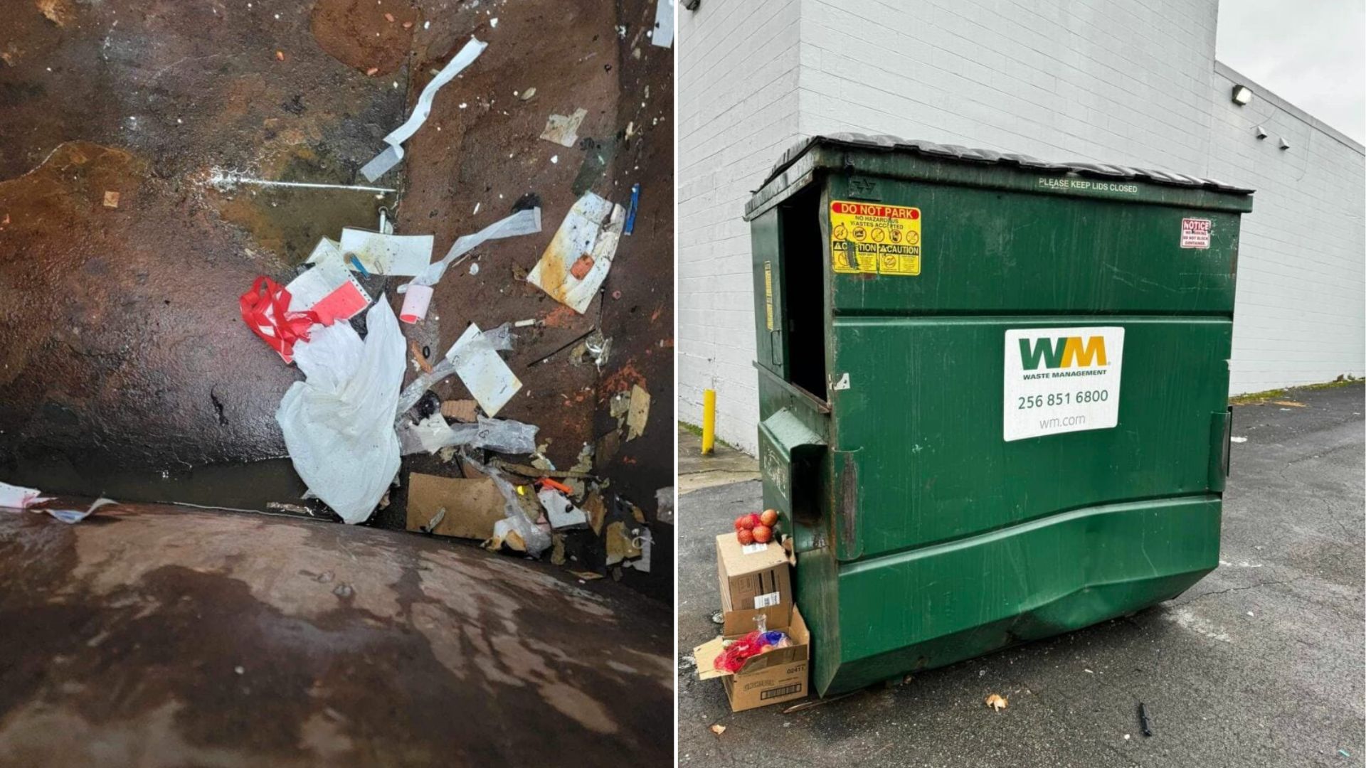 Pup Tied In Trash Bag Is Pulled From Dumpster In A Last-Minute Rescue By Tennessee Shelter Team