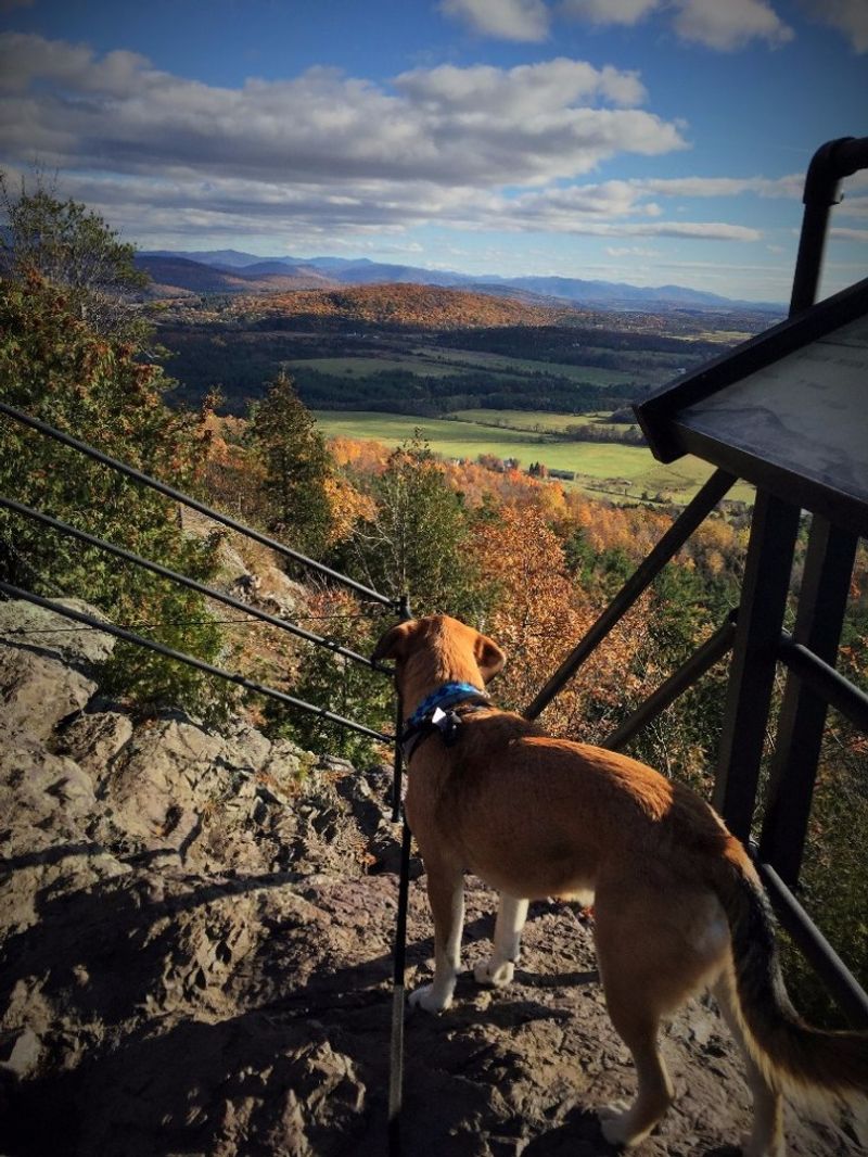 Mount Philo Summit Trail