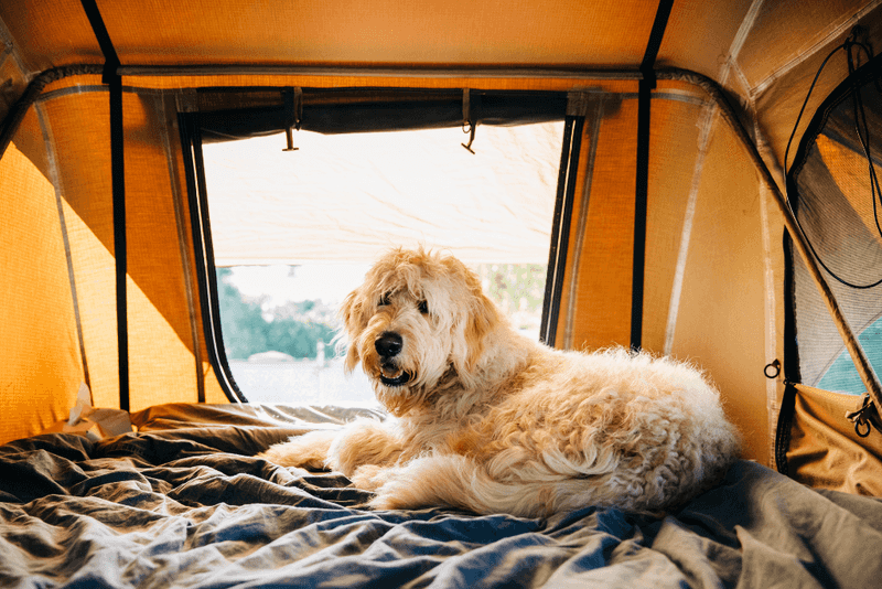 Kachess Campground