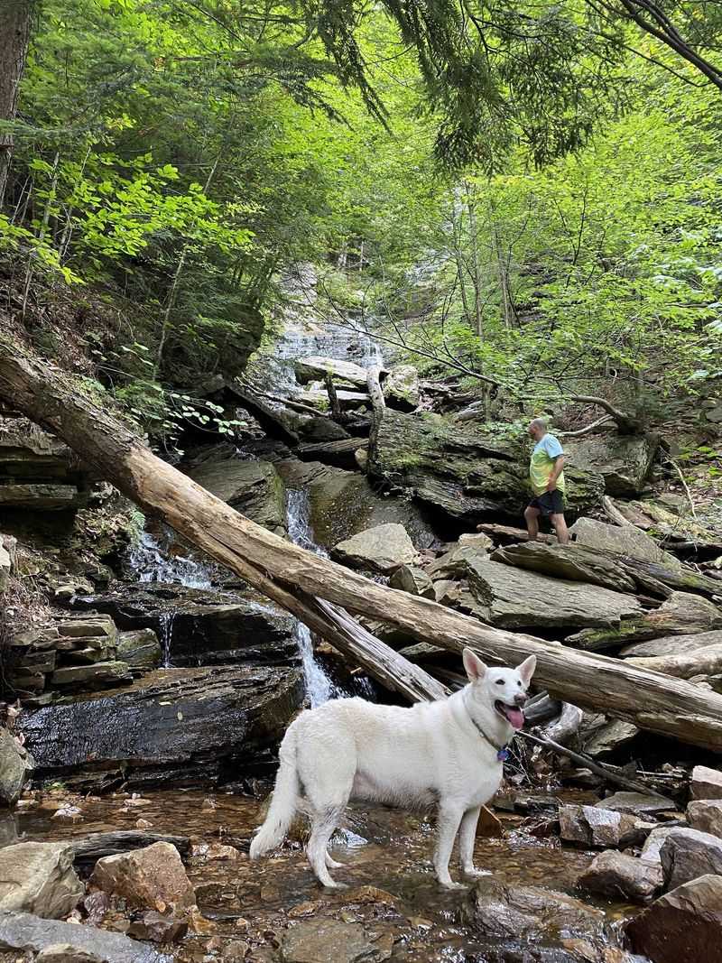 Lye Brook Falls Trail