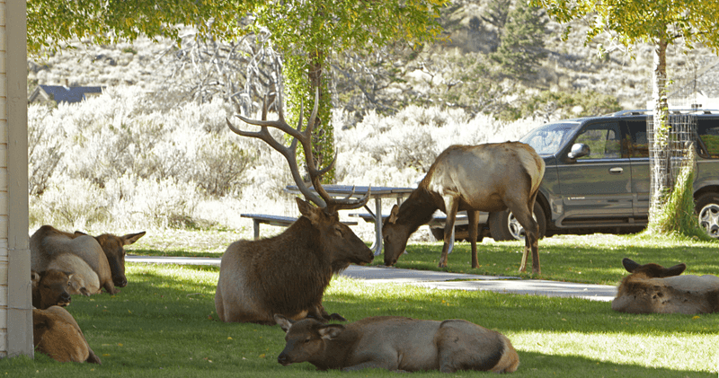 Safe Roadside Viewing Opportunities