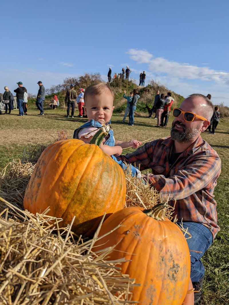 Lynd Fruit Farm (Corn Maze area) — Pataskala