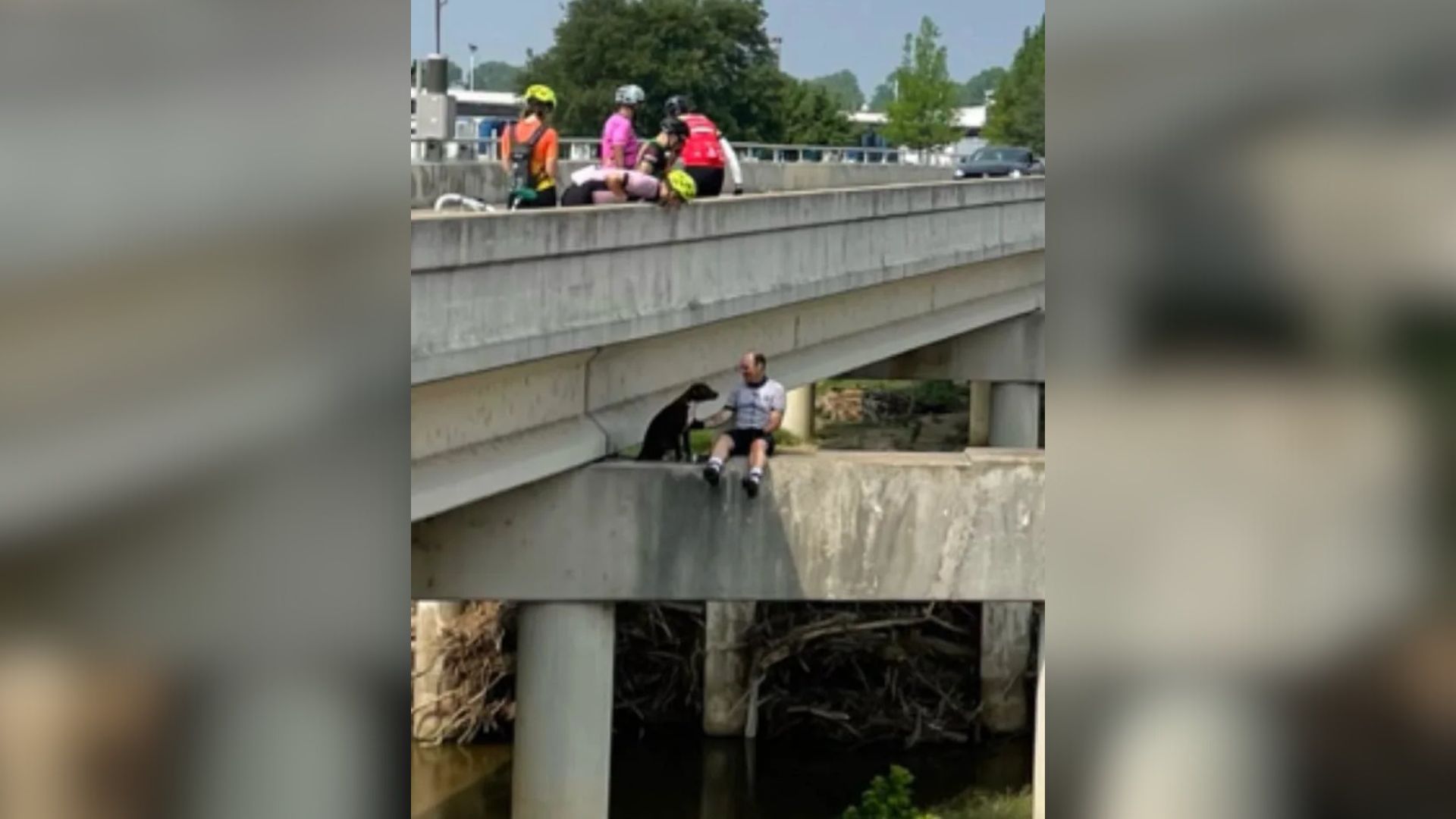Texas Cyclists Halt Ride To Save Terrified Pit Bull Trapped On A Bridge High Above Ground