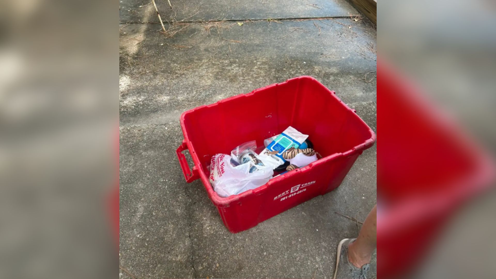 Texas Homeowner Discovers A Mysterious Bin In The Yard And A Tiny Face Peeking Out