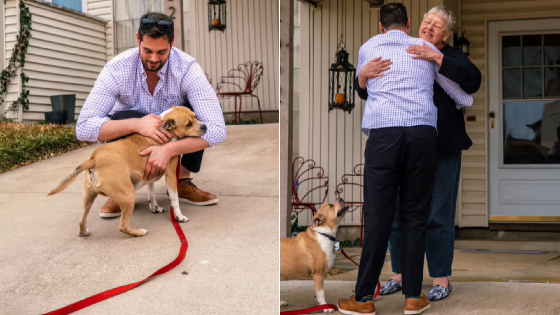 Texas Pup Reunites With His Owner After 60 Days Apart And The Emotional Moment Melts Hearts