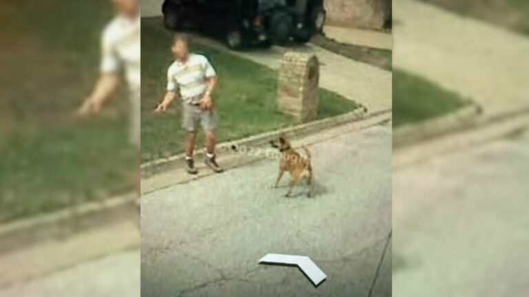 woman and dog on Google Earth