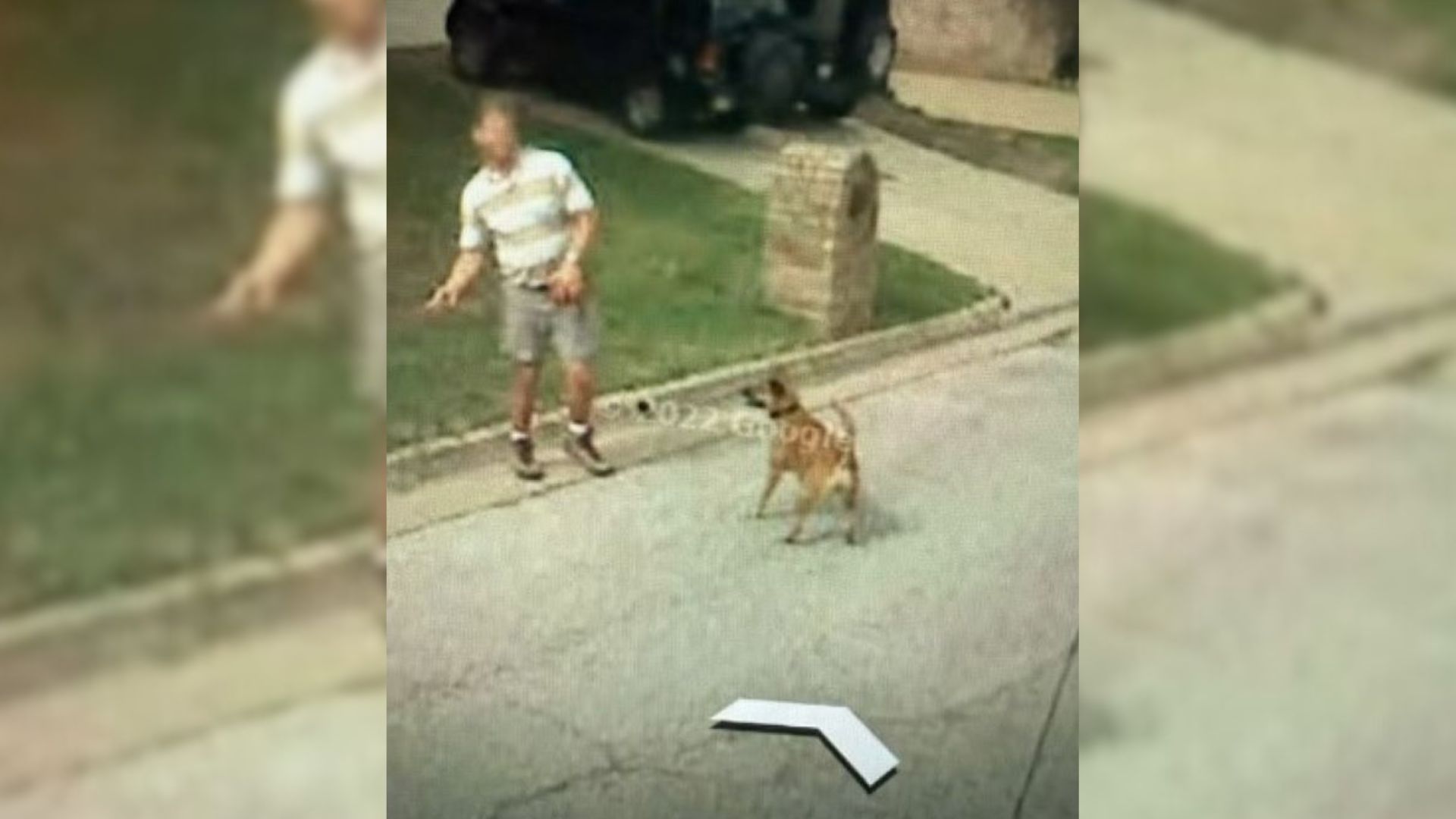 Texas Woman Is Stunned After Opening Google Earth Only To Relive A Heartwarming Memory From 2007