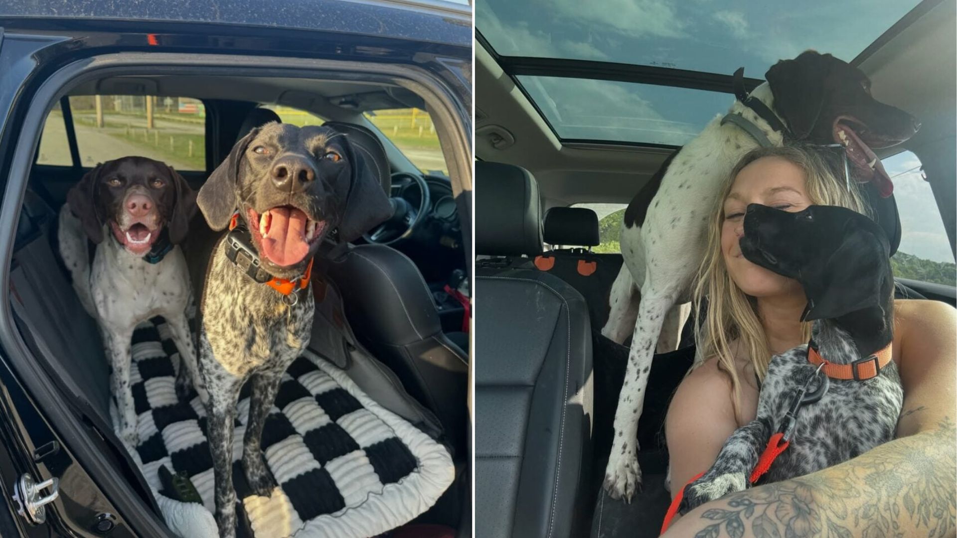 Vermont Woman Uncovers Her Dog’s Quirky Talent That Delights The Internet