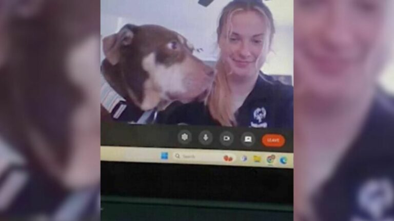 woman and dog in call